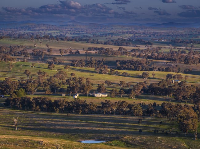 51 Normanhurst Lane Boorowa NSW 2586 51 Normanhurst Lane Boorowa NSW 2586