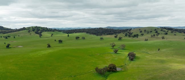 1285 Yerong Creek Mangoplah Road Mangoplah NSW 2652