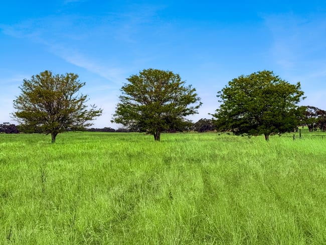 Lot 68 Penniment Road Bordertown SA 5268 Lot 68 Penniment Road Bordertown SA 5268