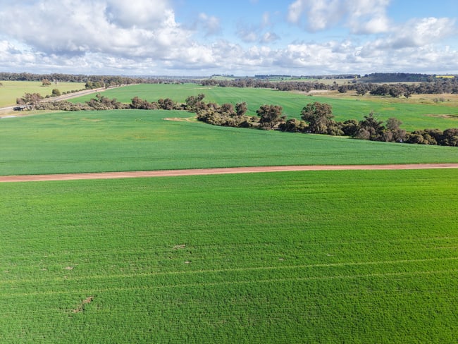 1431 Boyup Brook-Kojonup Road Mayanup WA 6244