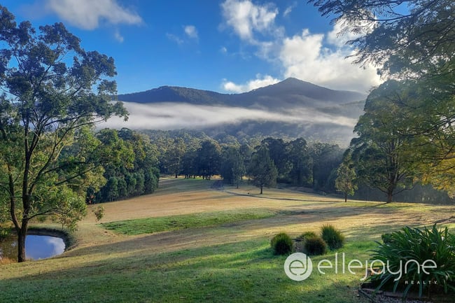 144 Leiberts Lane Brunkerville NSW 2323