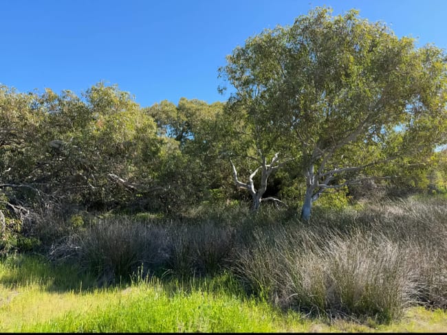 Lot 51 Northampton Port Gregory Road Yallabatharra WA 6535