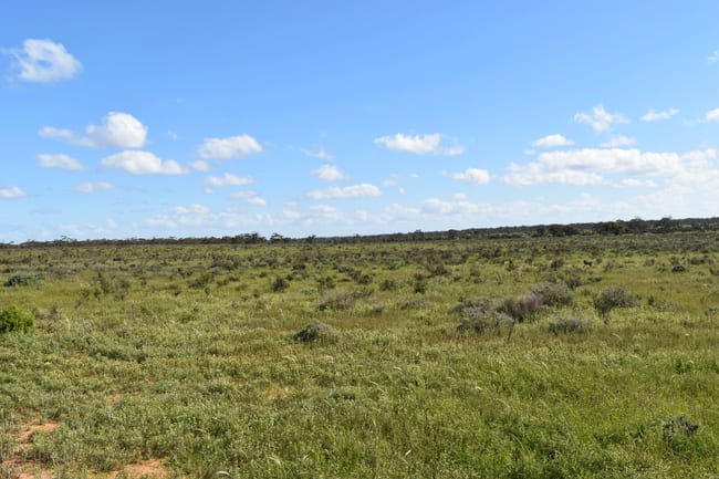 Lot 158 Old Loxton Road Swan Reach SA 5354 Lot 158 Old Loxton Road Swan Reach SA 5354