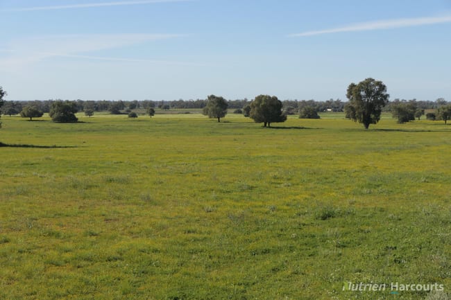 * KALLARA, 881 Kallara Road Hermidale NSW 2831