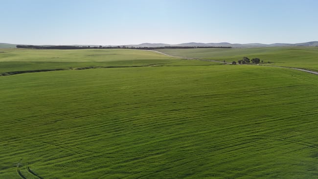 'Siegerts' Section 3 Goyder Highway Spalding SA 5454