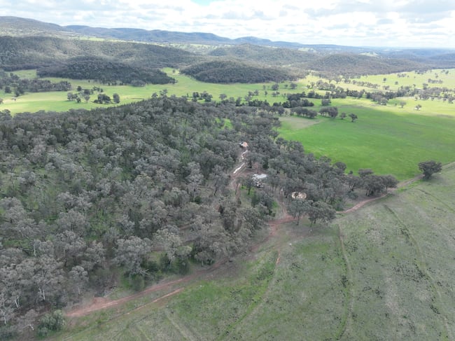 'Fox Hill' 573 Blathery Creek Road Neurea NSW 2820
