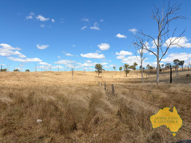 Branch Creek QLD 4625