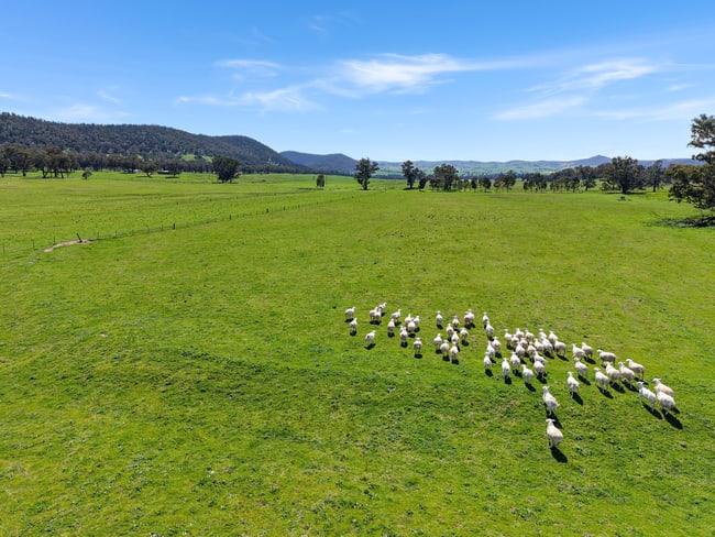 223 Rodwells Road Murga NSW 2864 223 Rodwells Road Murga NSW 2864