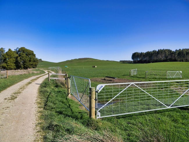 Warrentinna Road Winnaleah TAS 7265