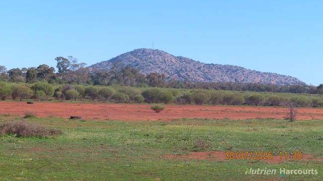 * Cooneybar Station Cobar NSW 2835