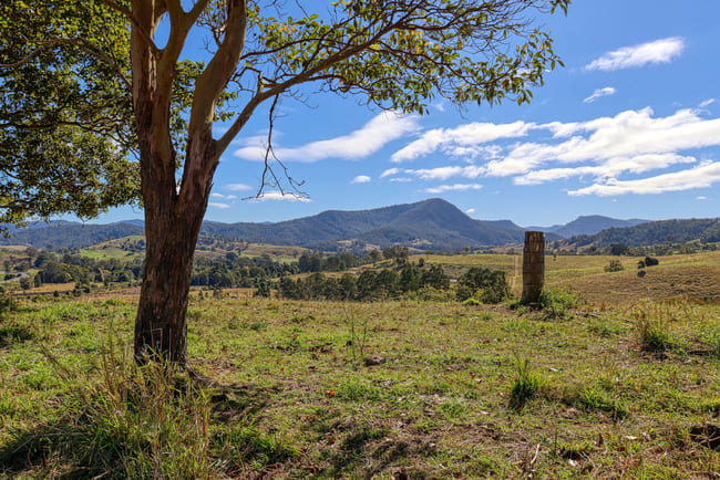 Lot 29, 46 Lynches Creek Road Wiangaree NSW 2474