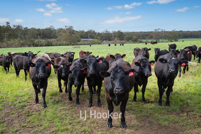 498 Carbunup Road South Treeton WA 6284