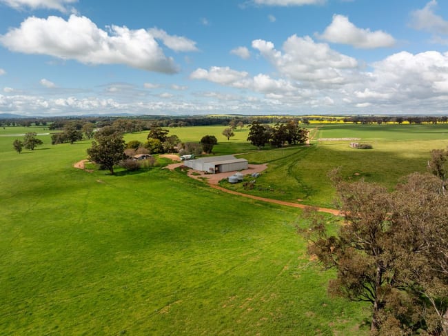 66 Noorla Lane Junee NSW 2663 66 Noorla Lane Junee NSW 2663