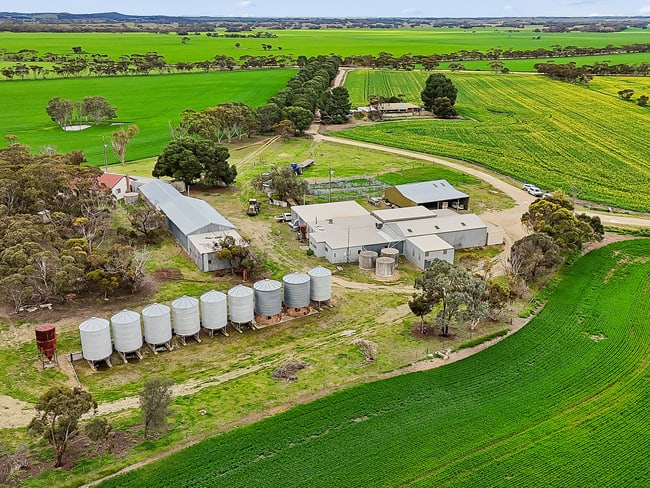 146 Pascoe Road Coonalpyn SA 5265