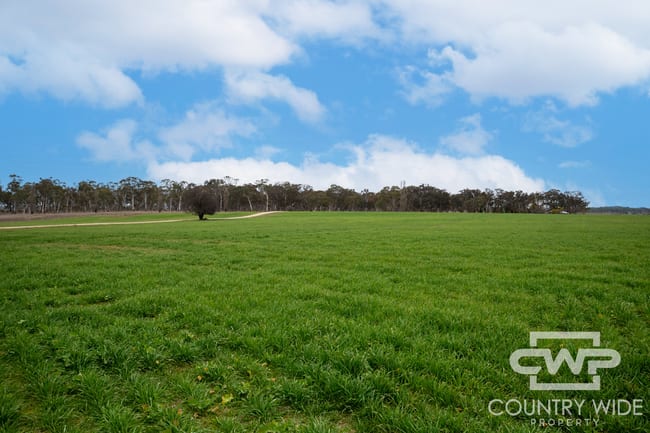 916 Emmaville Road Glen Innes NSW 2370 916 Emmaville Road Glen Innes NSW 2370