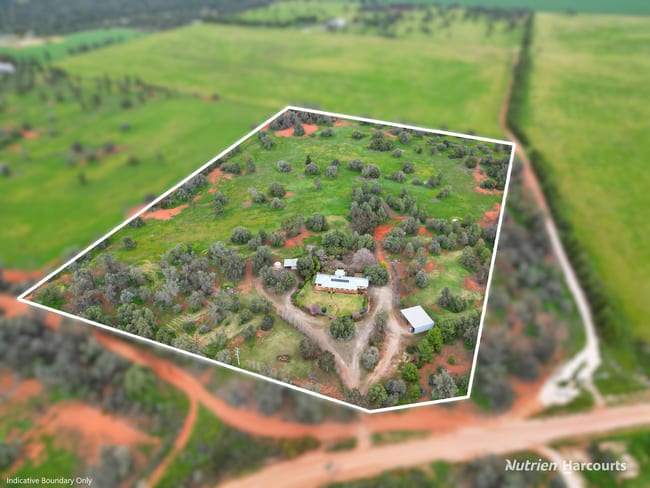 'Arcadia Pines' 1484 Arcadia Lane Goolgowi NSW 2652 'Arcadia Pines' 1484 Arcadia Lane Goolgowi NSW 2652