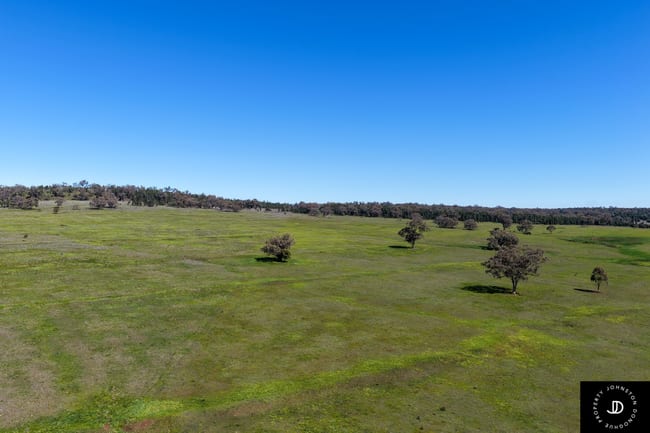 3449 Wyuna Road Mullaley NSW 2379 3449 Wyuna Road Mullaley NSW 2379
