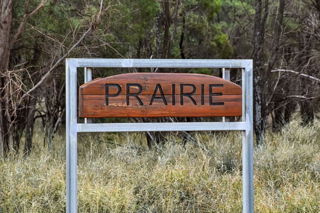 " Prairie" Augathella QLD 4477