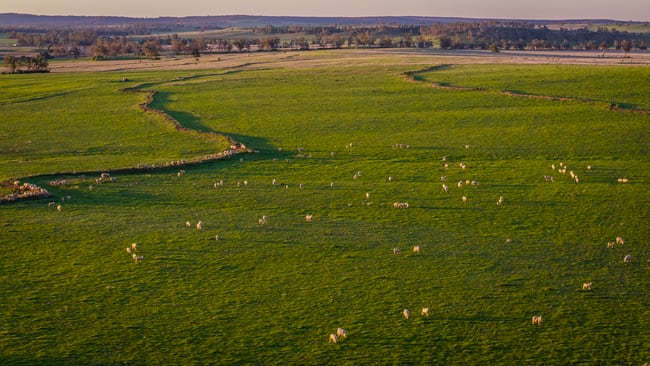 12R Quamby Road Wongarbon NSW 2831 12R Quamby Road Wongarbon NSW 2831