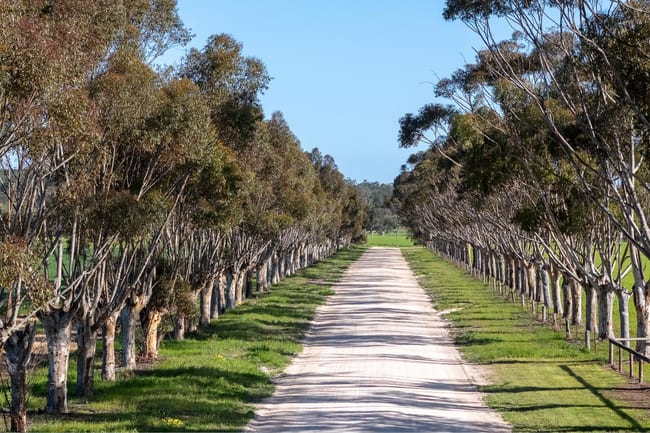 Lot 22 South Bremer Road Hartley SA 5255 Lot 22 South Bremer Road Hartley SA 5255