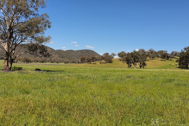 1532 Castlereagh Highway Mudgee NSW 2850