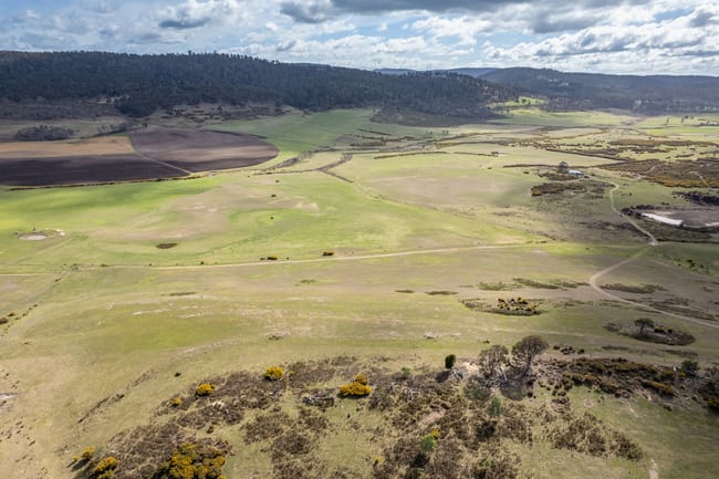 'East Dundee' Stonehenge Road Whitefoord TAS 7120