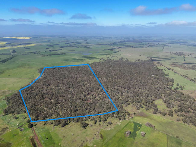 - Delaney's Road Buckley Swamp VIC 3301 - Delaney's Road Buckley Swamp VIC 3301