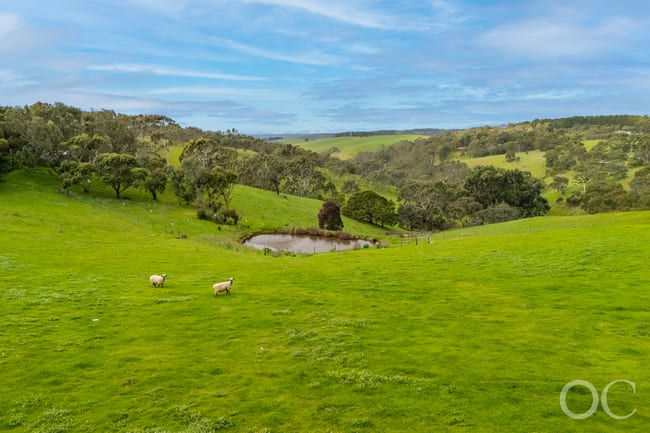 379 Louds Hill Road Willunga South SA 5172 379 Louds Hill Road Willunga South SA 5172