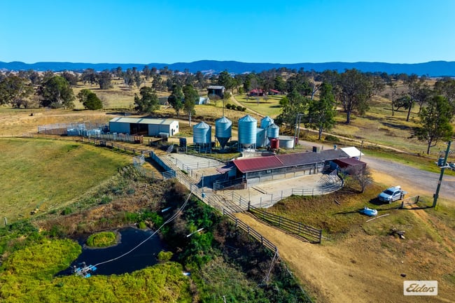 910 West Kameruka Road Morans Crossing NSW 2550