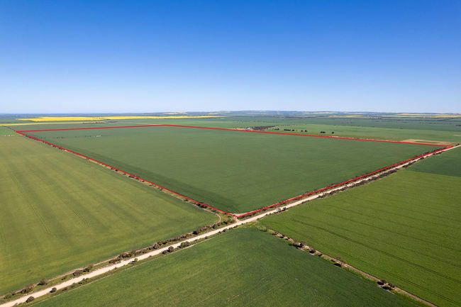 Lot 22 Pfitzner Road Butler SA 5605 Lot 22 Pfitzner Road Butler SA 5605