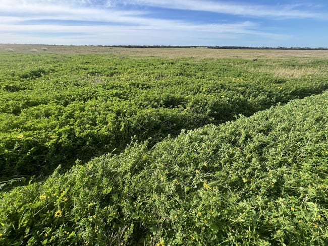 Lot 17 & 18 Kulkami Road Karoonda SA 5307