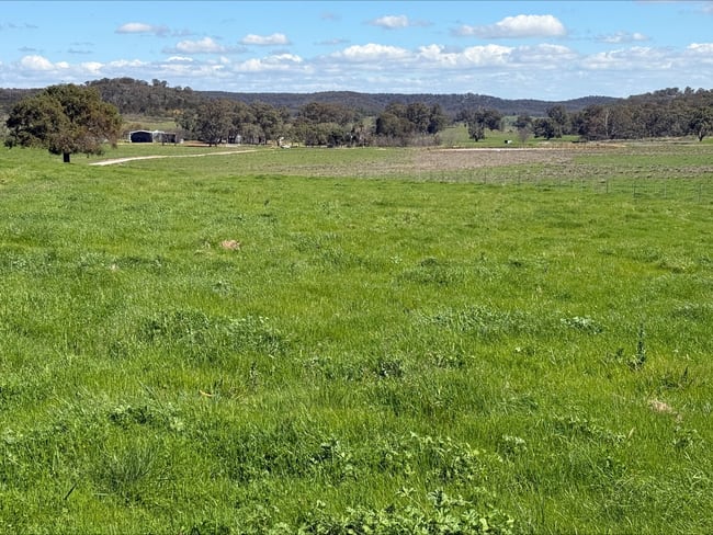 454 Brooklyn Road Dunedoo NSW 2844 454 Brooklyn Road Dunedoo NSW 2844