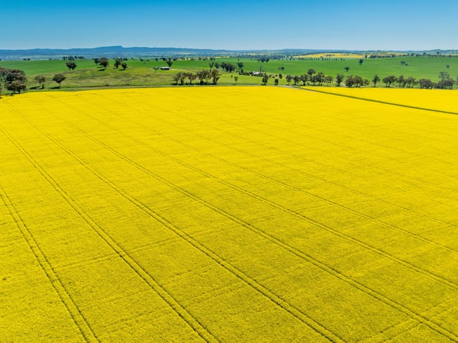 'Smiths' 5171 Cargo Road Canowindra NSW 2804