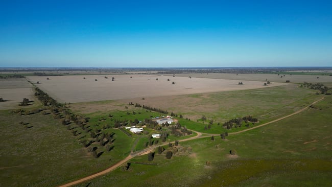 Berragoon, 647 Stokes Road Collie NSW 2827