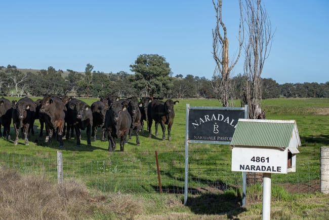4861 Coonabarabran Road Coonabarabran NSW 2357 4861 Coonabarabran Road Coonabarabran NSW 2357