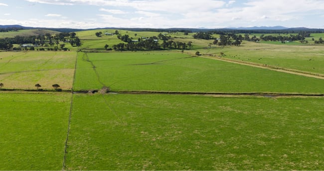 424 Princes Highway Orbost VIC 3888 424 Princes Highway Orbost VIC 3888