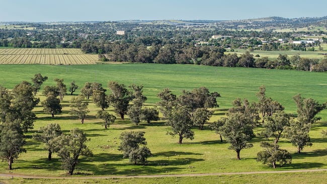 200 Warrengunyah Road Mount Arthur NSW 2820