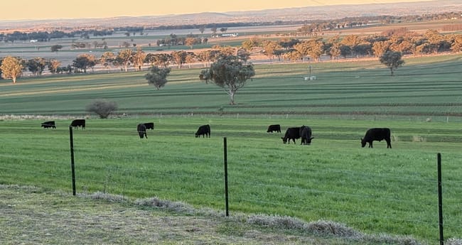 1036 Rob Roy Road Inverell NSW 2360