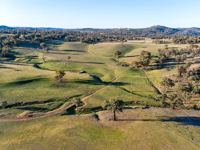 Messines, 1210 MacIntyre Road Barraba NSW 2347 Messines, 1210 MacIntyre Road Barraba NSW 2347
