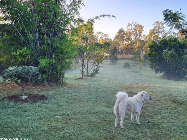 401 Ferry Road Rosedale QLD 4674 401 Ferry Road Rosedale QLD 4674
