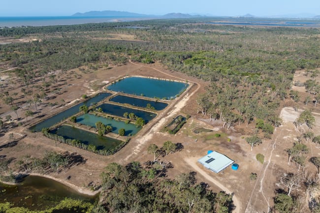 2/168 Purono Parkway Yabulu QLD 4818 2/168 Purono Parkway Yabulu QLD 4818