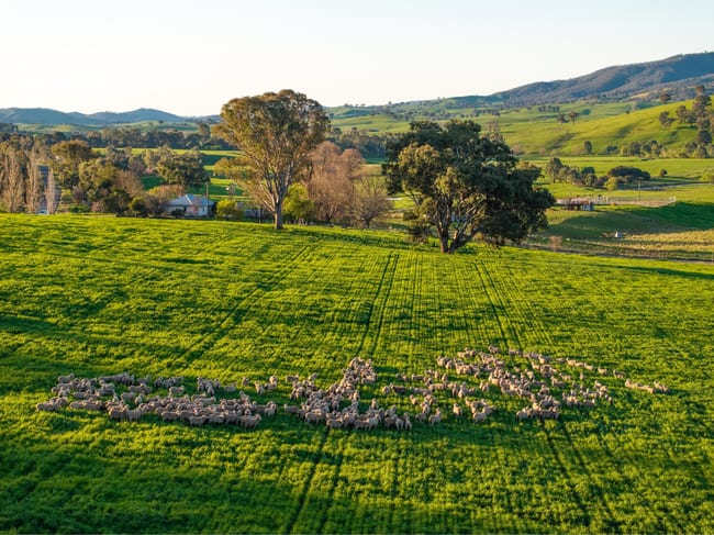 922 Westbrook Road Oberne Creek NSW 2650 922 Westbrook Road Oberne Creek NSW 2650
