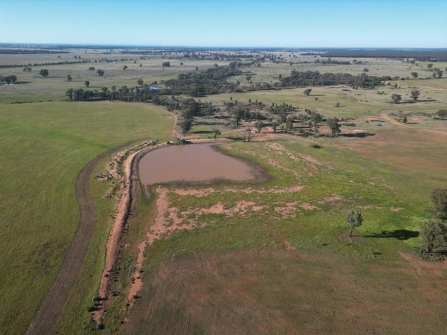 'Fernleigh' 882 Womboyne Rd West Wyalong NSW 2671 'Fernleigh' 882 Womboyne Rd West Wyalong NSW 2671