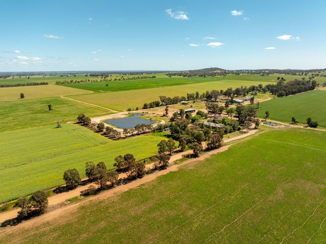 439 Taylors Road, Gidgingbung Via Temora NSW 2666 439 Taylors Road, Gidgingbung Via Temora NSW 2666