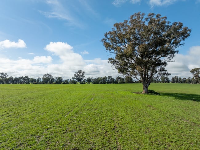 Lot 1 Sheep Station Road Cowra NSW 2794