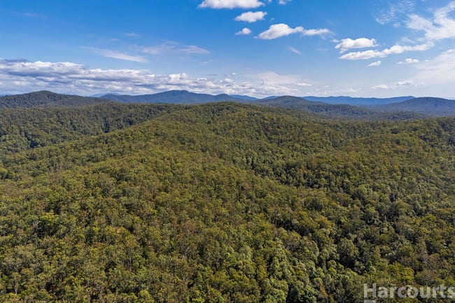 Lot 1/DP 871764 Clarefield Dungay Creek Road Marlo Merrican NSW 2441