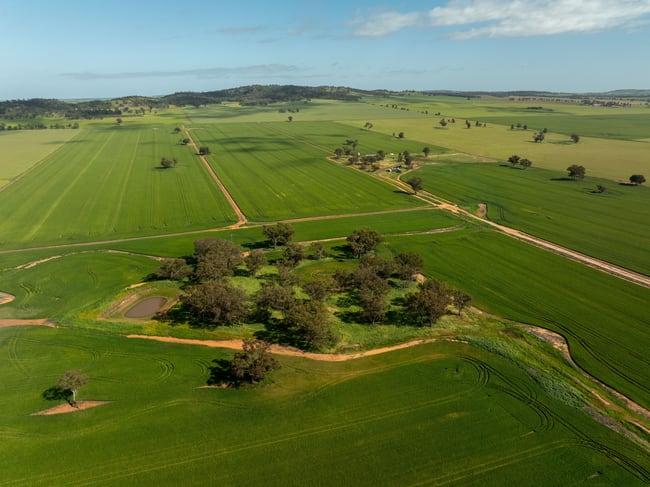 267 Gap Hall-Coolamon Road The Gap NSW 2650 267 Gap Hall-Coolamon Road The Gap NSW 2650