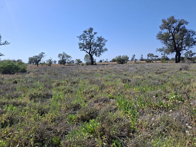 Coonamble NSW 2829 Coonamble NSW 2829