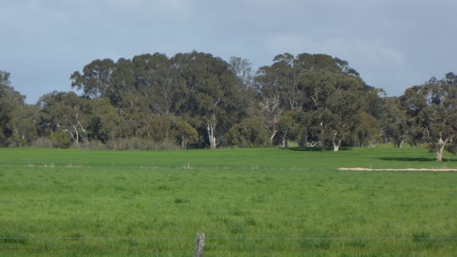 Lot 83 & 89 Walkington HIlls Road Cadgee SA 5271