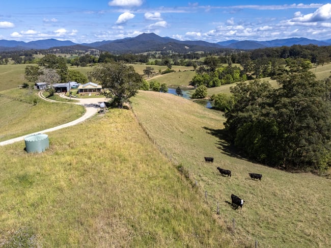 221 Lower Buckra Bendinni Road Buckra Bendinni NSW 2449 221 Lower Buckra Bendinni Road Buckra Bendinni NSW 2449